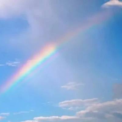 金年会最新官网下载截图